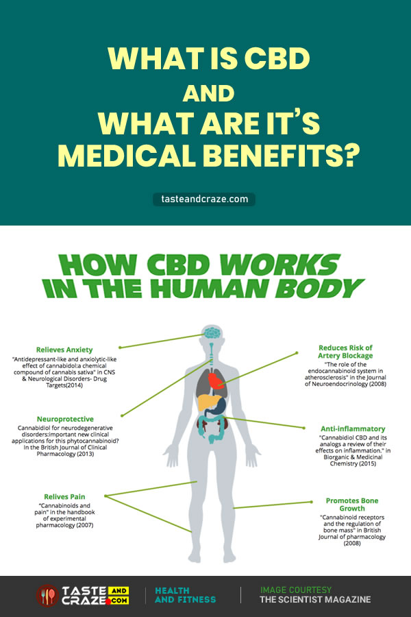 What is CBD and What are its medical benefits- How CBD works in Human Body  #CBD #cbd #medicalbenefitsofcbd #CBDBenefits #Cannabidiol #THC #cannabisplant #CBDplant #humanbody #CB1 #CB2 #enzymes #CBDCream #CBDOil #Pain #Inflammation #Anxiety #Nausea #Antipsychotic #Epilepsy #EpilepsySymptoms #Parkinsons #ParkinsonsDisease #ParkinsonsSymptoms