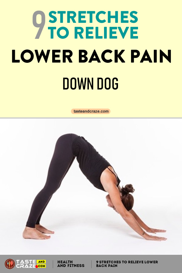 #DownDog #LowerBackPain #BackPain #LowerPain #PainRelieve #Yoga #StretchestoRelievePain #RelievePain 9 Stretches to Relieve Lower Back Pain- Down Dog