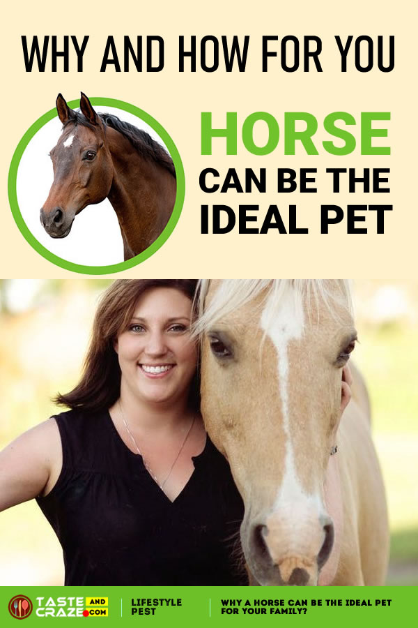 Why a Horse can be the Ideal Pet for Your Family. #Horse #IdealPet #PetforFamily #PetForYou #Owningahorse #horsestyle #horseaddict #horselifestyle #horsefacts #horsefactsinteresting #horseriding #beautifulhorse #horsepolo #beautifulhorse #horselove